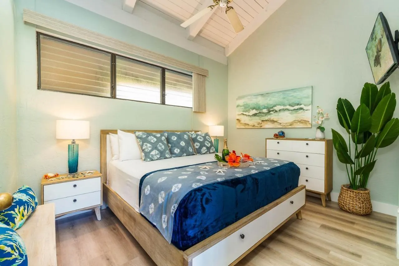 Papakea K406 Oceanview 2 Bedroom 2 Bath Condo Kahana